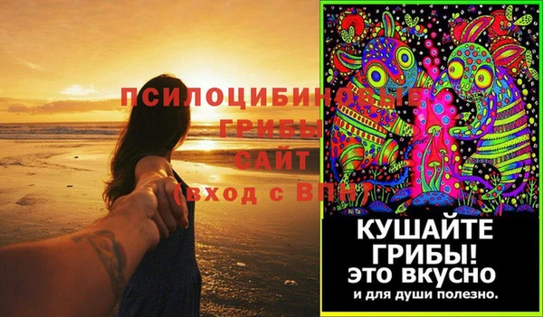 таблы Шали