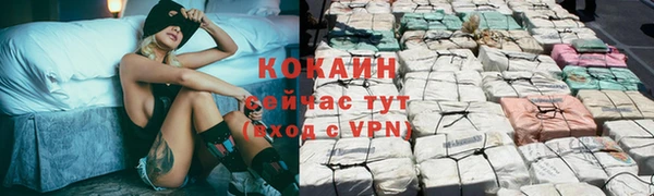 мяу мяу мука Кулебаки